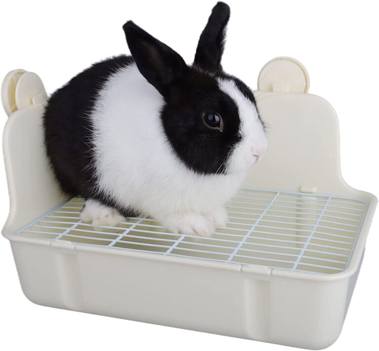 How to Train a Bunny to Use a Litter Box: Simple Tips and Tricks