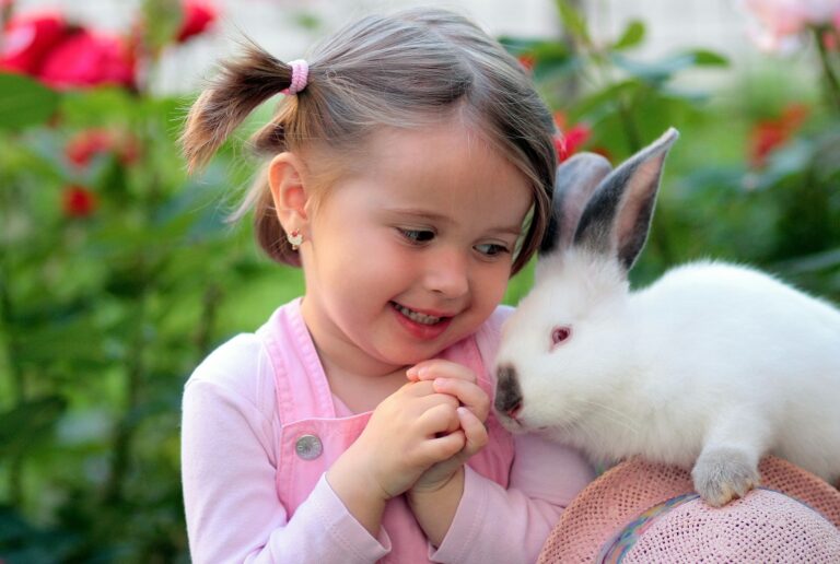 What Does It Mean If A Rabbit Licks You? Understanding Rabbit Behavior
