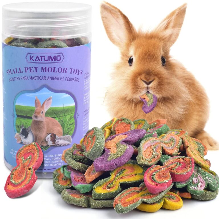 Best Treats for Rabbits: Top 10 Healthy Snacks for Your Bunny