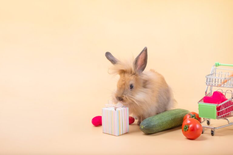 Can Rabbits Eat Tomato? A Comprehensive Guide to Feeding Your Bunny