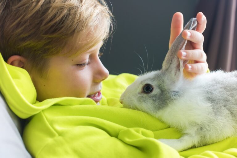How to Tell If Your Rabbit Likes You: Signs to Look For