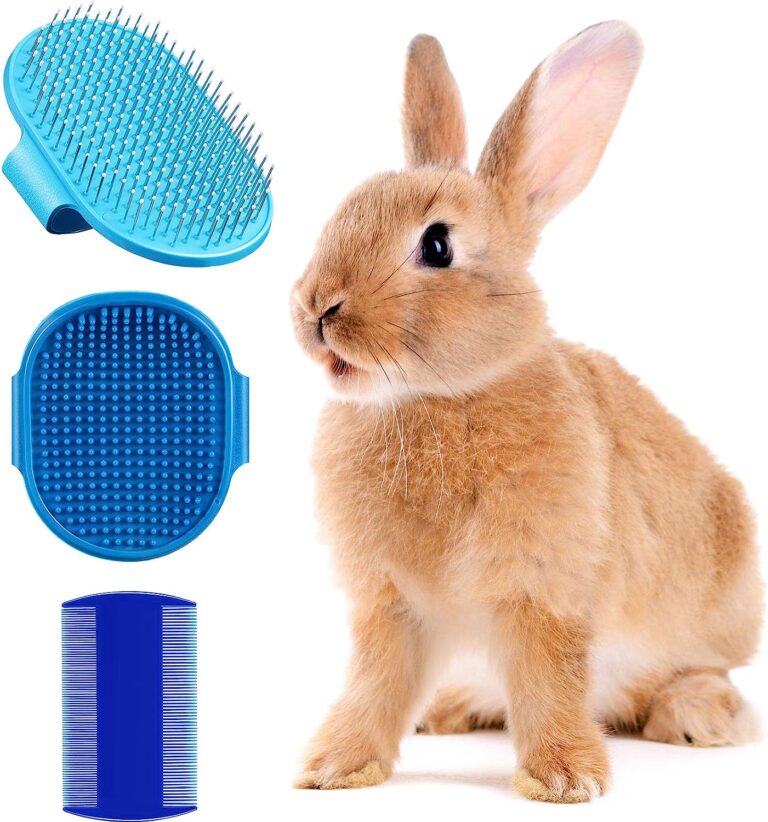 Best Brushes for Rabbits: Top Picks for Grooming Your Furry Friend