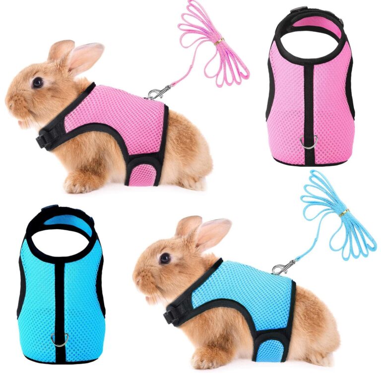 Best Harnesses for Rabbits: Top Picks for Safe and Comfortable Walking